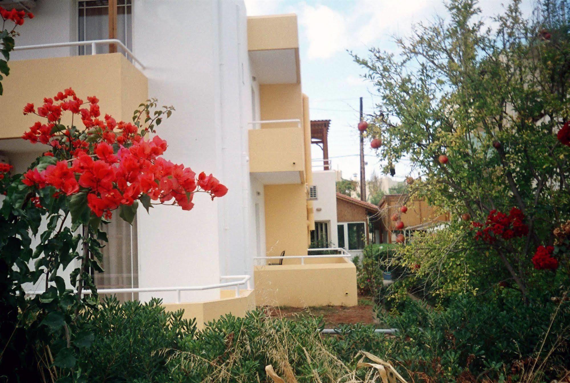 Dimitra Apartments Gouves Exterior foto